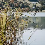 Furtlhof Mit Privatbadeplatz Am Irrsee Strasswalchen
