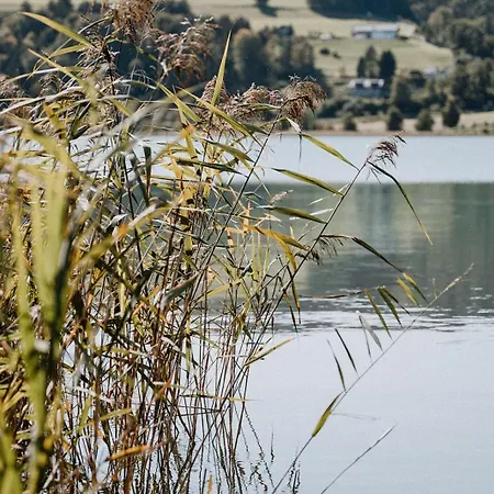 Historischer Bauernhof Mit Privatbadeplatz Am Irrsee Strasswalchen